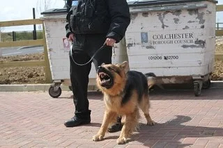 Instagram post from secure_guard_security_services. This post is in position 8.