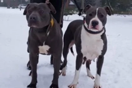 Instagram post from secure_guard_security_services. This post is in position 2.