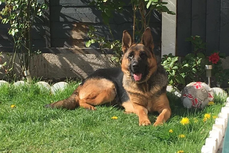 Instagram post from secure_guard_security_services. This post is in position 3.