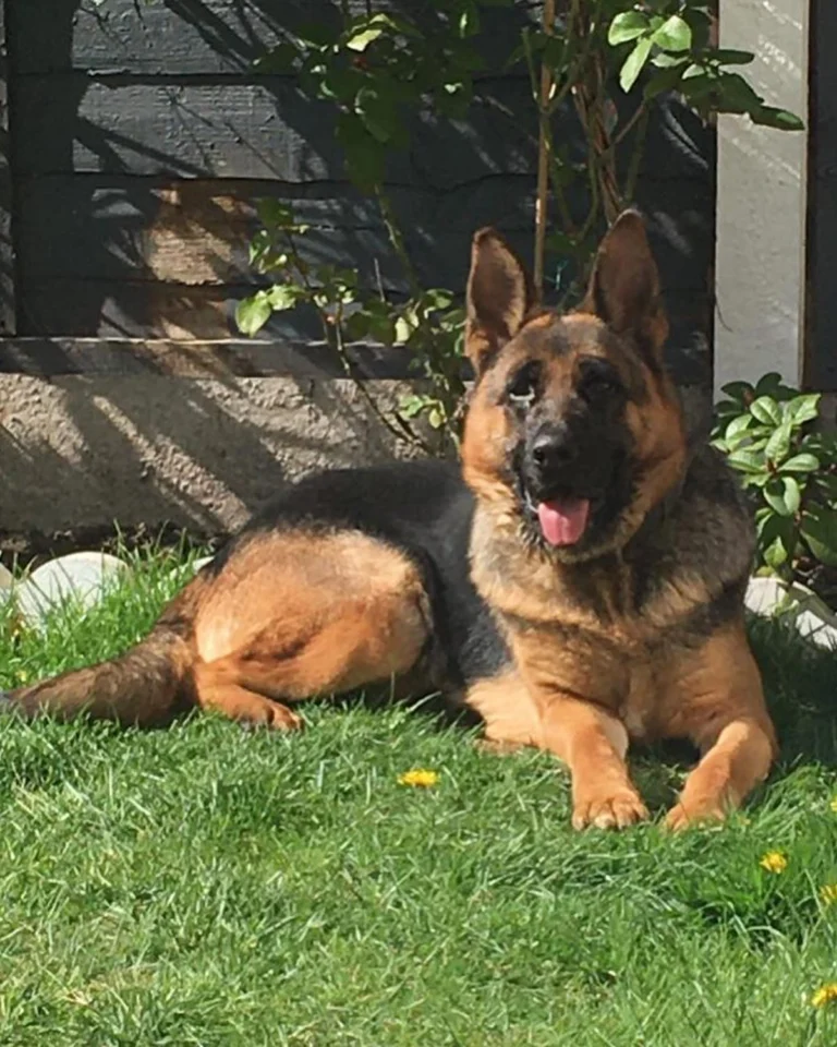 Instagram post from secure_guard_security_services. This post is in position 10.