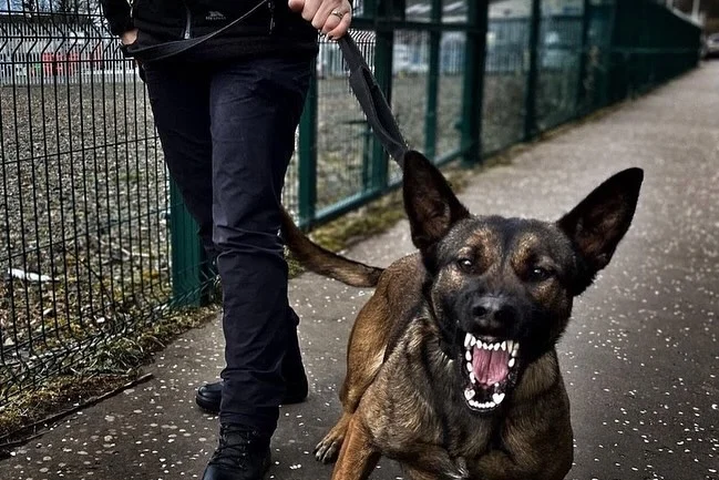 Instagram post from secure_guard_security_services. This post is in position 7.