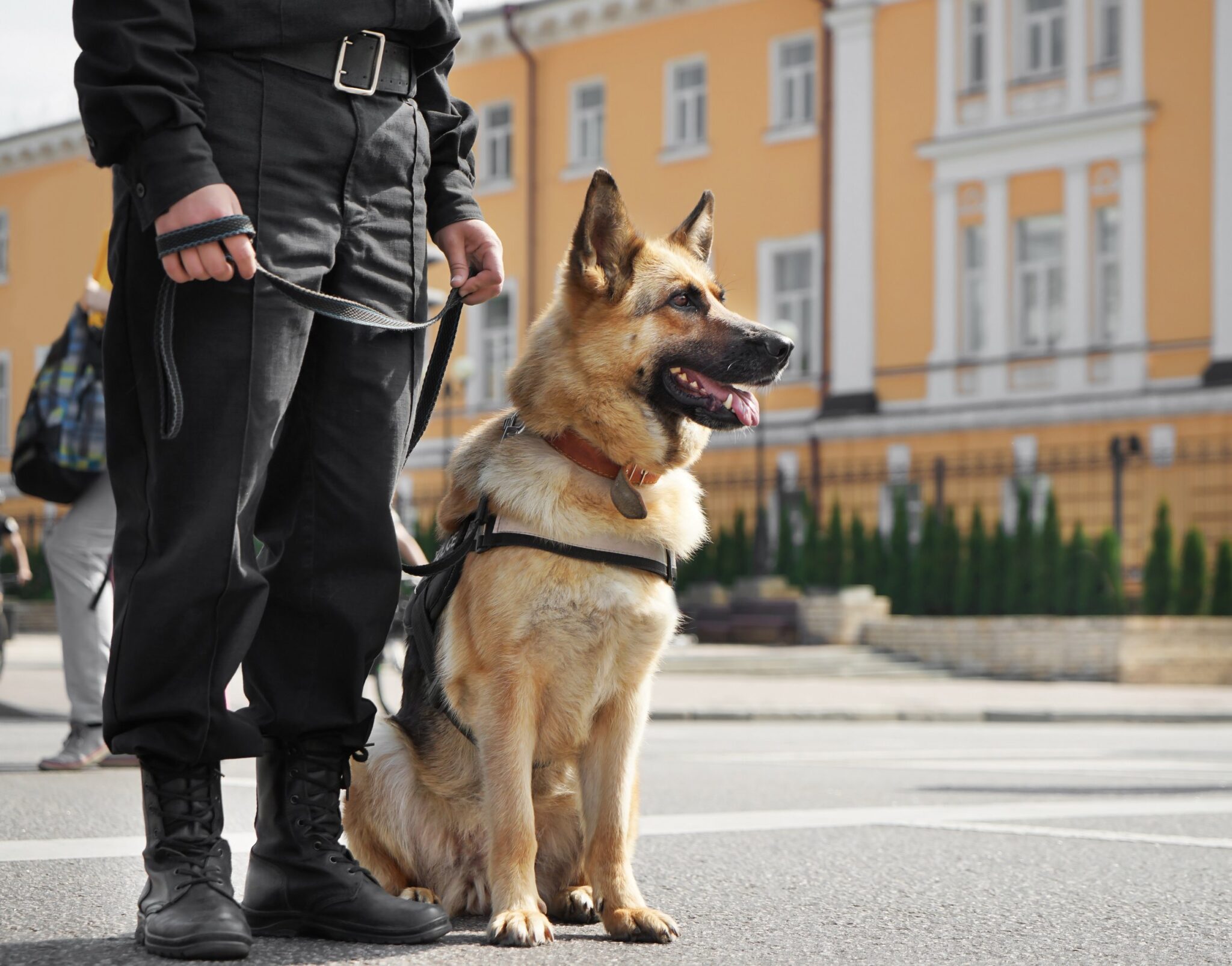 Canine Security Services