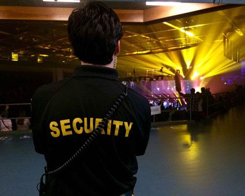 musical festival security